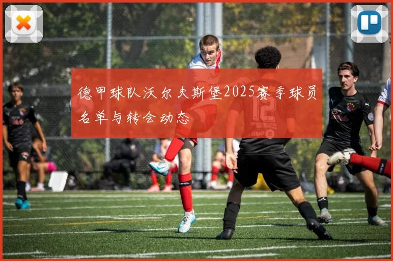 德甲球队沃尔夫斯堡2025赛季球员名单与转会动态