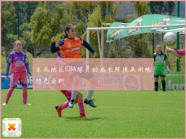 东北地区CBA球员的成长环境及训练特色分析