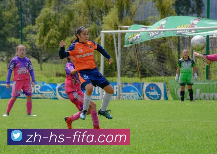 世界杯赛程服务体系